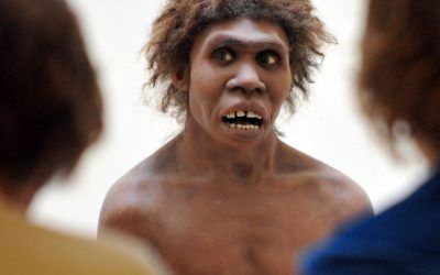 Caveman Causes Allergies and Contributes to Nobel Prize