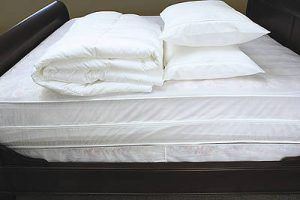 Premium Mattress Encasing Queen